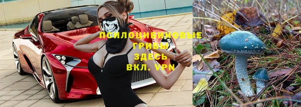 герыч Богородск