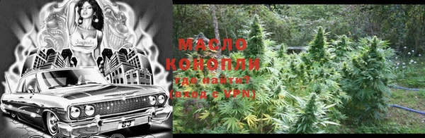 молекула духа Бородино