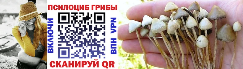 купить  цена  площадка формула  Галлюциногенные грибы MAGIC MUSHROOMS  Валуйки 