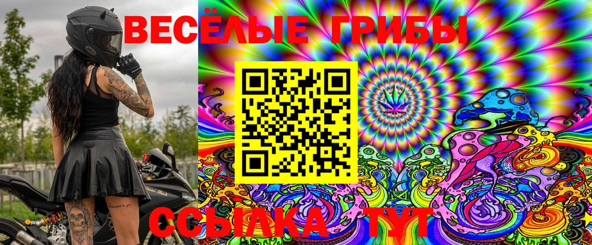 Псилоцибиновые грибы Psilocybe  Галлюциногенные грибы GOLDEN TEACHER  Валуйки  Вход с VPN 